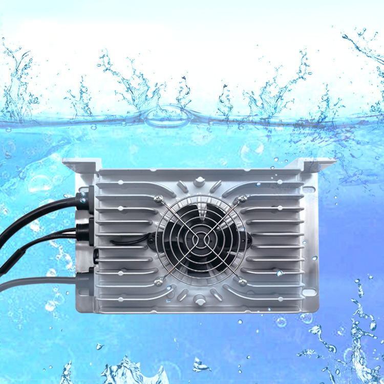 Chargeur de batterie au plomb- - Lithium Battery 12V avis et prix